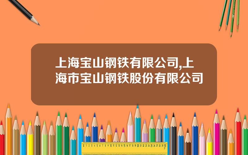 上海宝山钢铁有限公司,上海市宝山钢铁股份有限公司