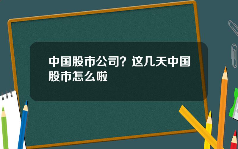 中国股市公司？这几天中国股市怎么啦