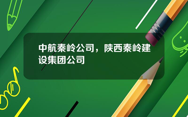 中航秦岭公司，陕西秦岭建设集团公司