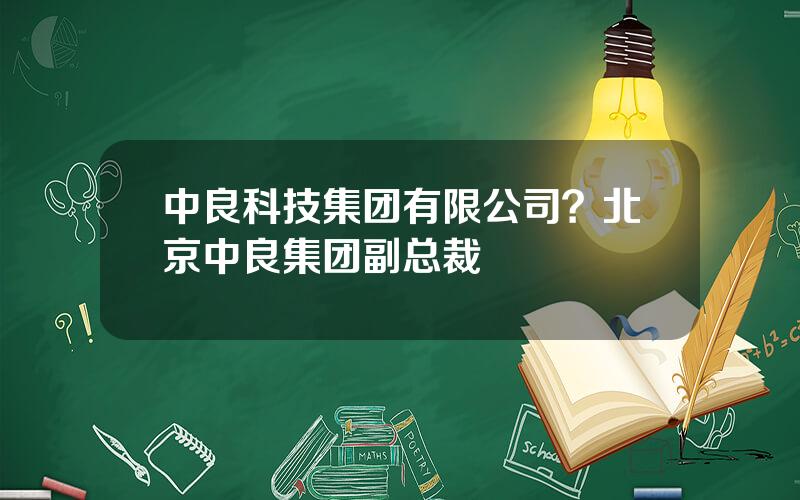 中良科技集团有限公司？北京中良集团副总裁
