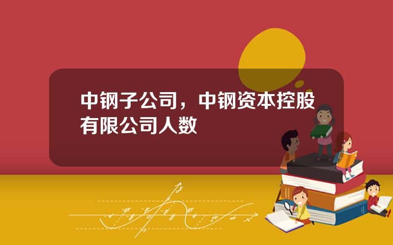 中钢子公司，中钢资本控股有限公司人数