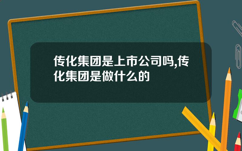 传化集团是上市公司吗,传化集团是做什么的