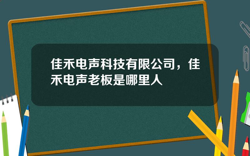 佳禾电声科技有限公司，佳禾电声老板是哪里人
