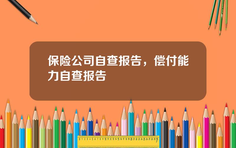 保险公司自查报告，偿付能力自查报告