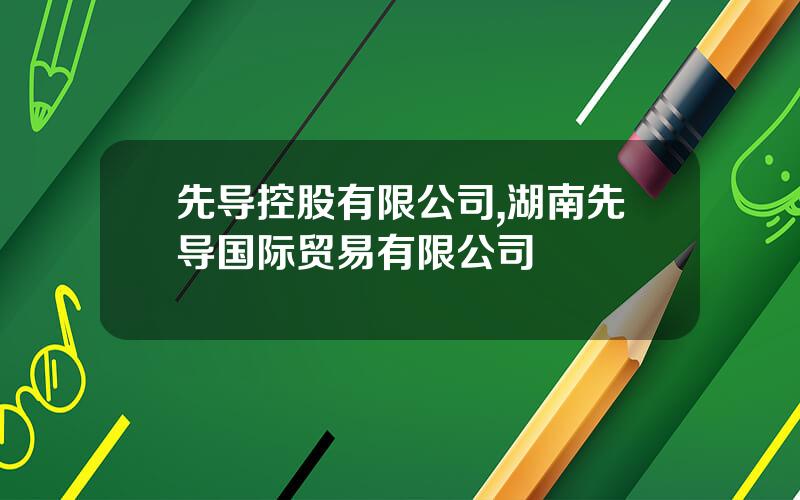 先导控股有限公司,湖南先导国际贸易有限公司