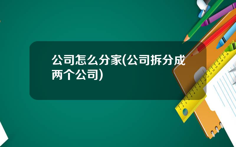 公司怎么分家(公司拆分成两个公司)