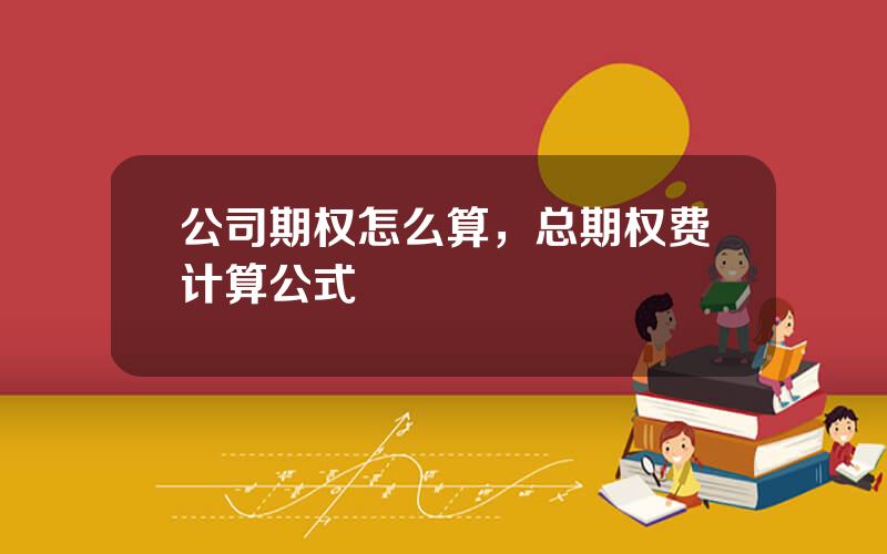公司期权怎么算，总期权费计算公式