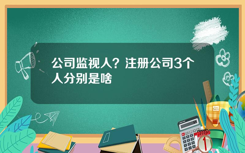 公司监视人？注册公司3个人分别是啥