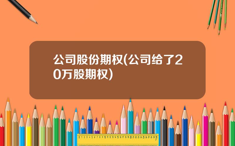 公司股份期权(公司给了20万股期权)