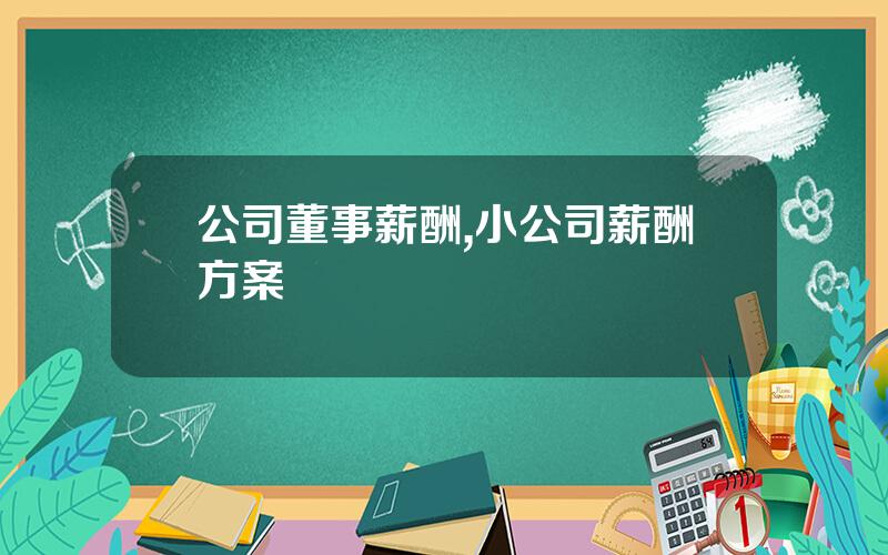 公司董事薪酬,小公司薪酬方案