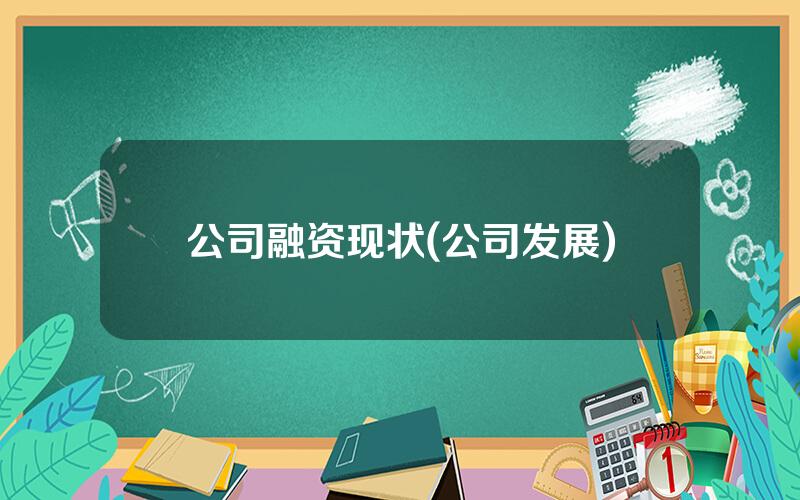 公司融资现状(公司发展)