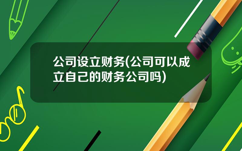 公司设立财务(公司可以成立自己的财务公司吗)