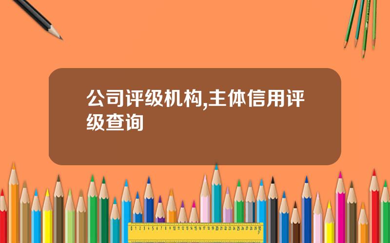公司评级机构,主体信用评级查询