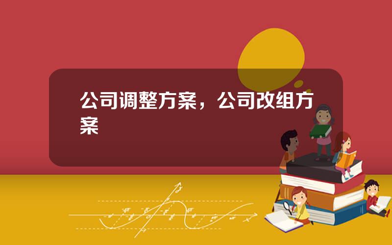 公司调整方案，公司改组方案