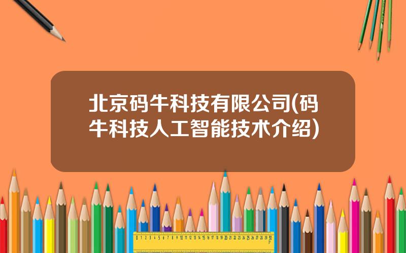北京码牛科技有限公司(码牛科技人工智能技术介绍)