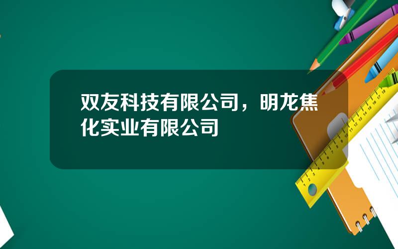 双友科技有限公司，明龙焦化实业有限公司
