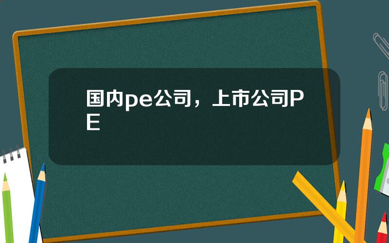 国内pe公司，上市公司PE