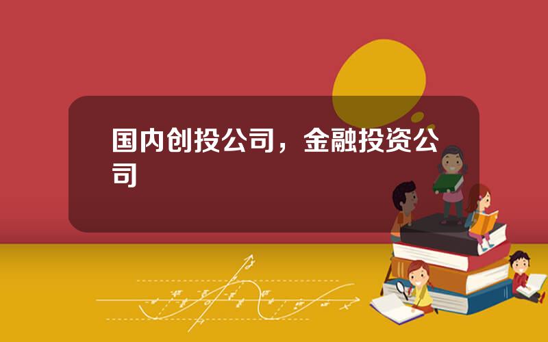 国内创投公司，金融投资公司