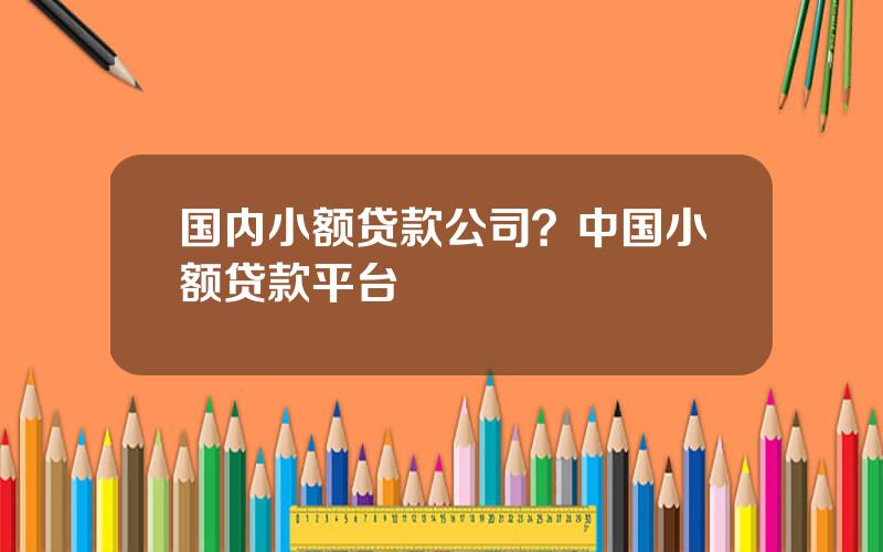 国内小额贷款公司？中国小额贷款平台