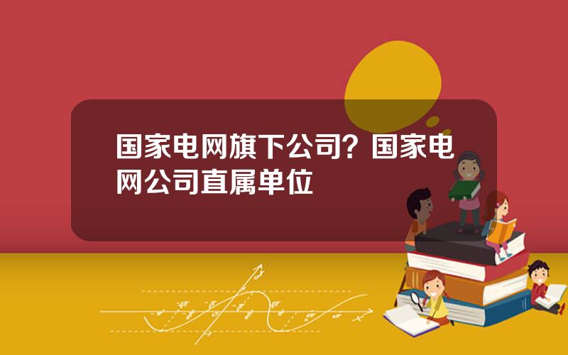 国家电网旗下公司？国家电网公司直属单位