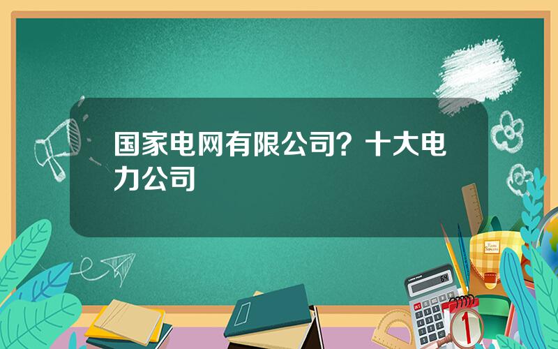 国家电网有限公司？十大电力公司