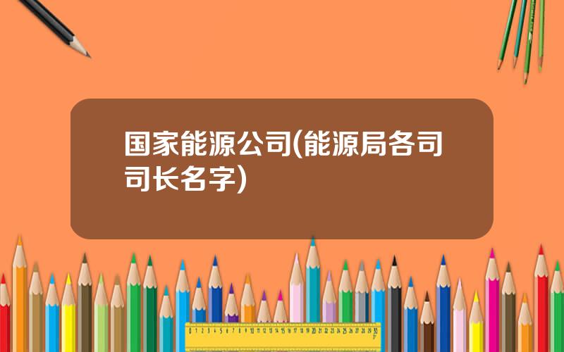 国家能源公司(能源局各司司长名字)