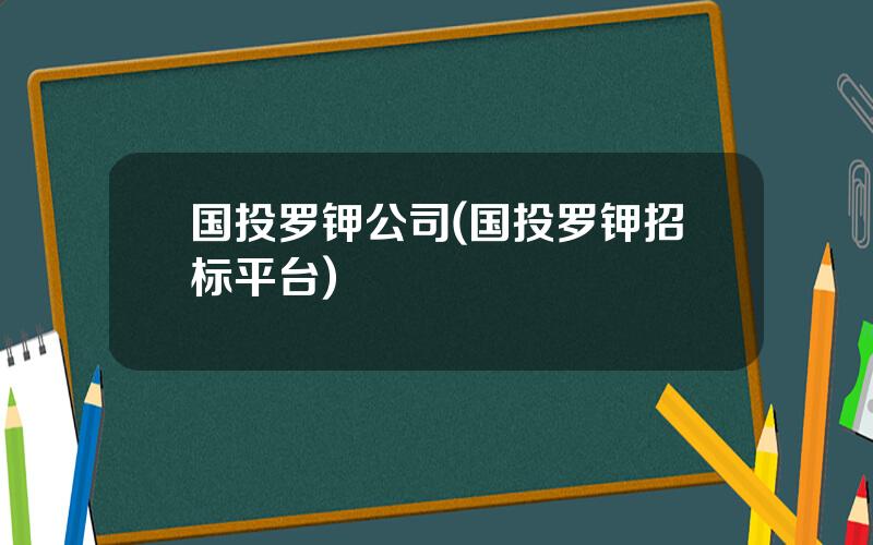 国投罗钾公司(国投罗钾招标平台)