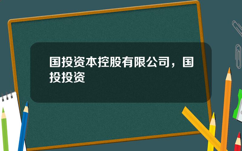 国投资本控股有限公司，国投投资