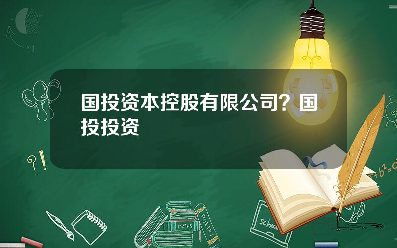 国投资本控股有限公司？国投投资