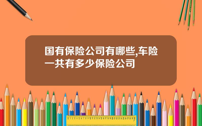 国有保险公司有哪些,车险一共有多少保险公司