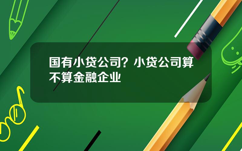 国有小贷公司？小贷公司算不算金融企业