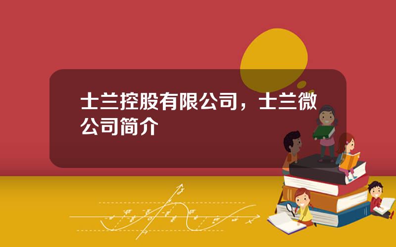 士兰控股有限公司，士兰微公司简介