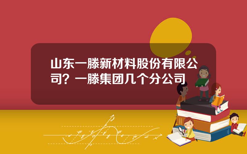 山东一滕新材料股份有限公司？一滕集团几个分公司