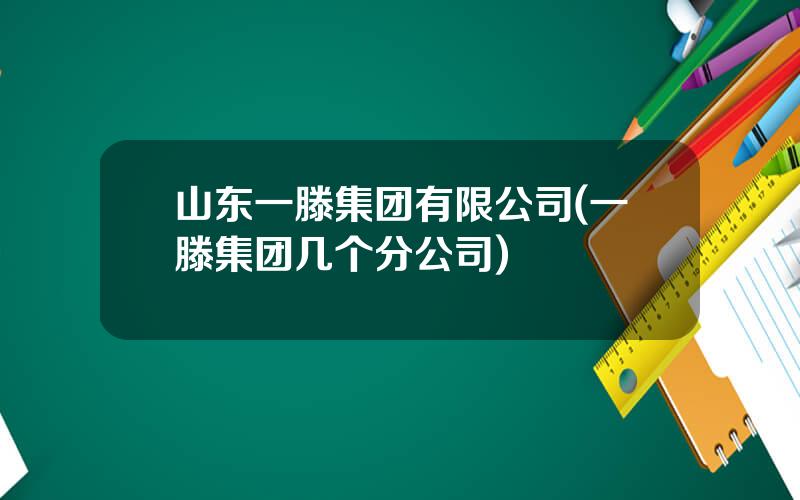 山东一滕集团有限公司(一滕集团几个分公司)