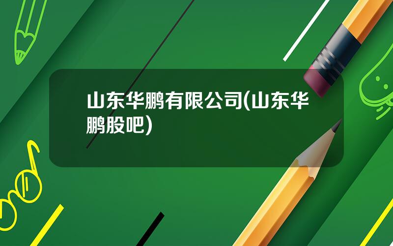 山东华鹏有限公司(山东华鹏股吧)