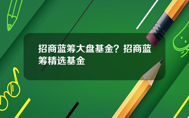招商蓝筹大盘基金？招商蓝筹精选基金
