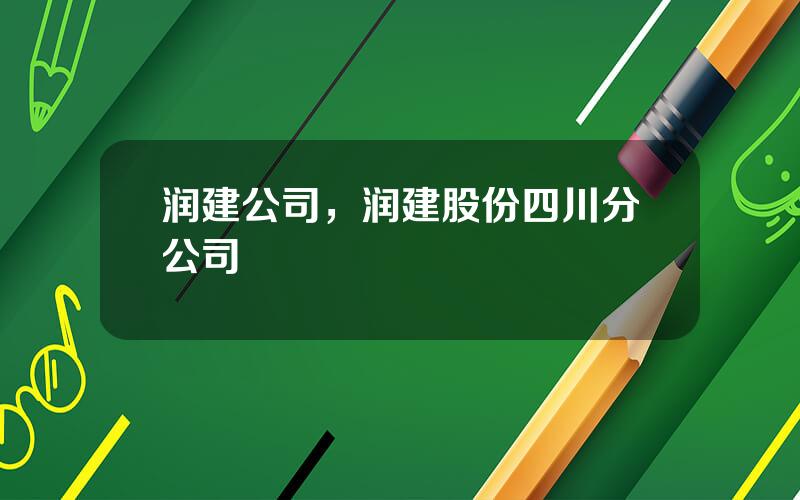 润建公司，润建股份四川分公司
