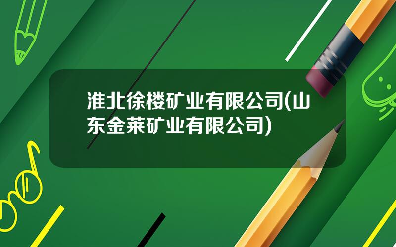 淮北徐楼矿业有限公司(山东金莱矿业有限公司)