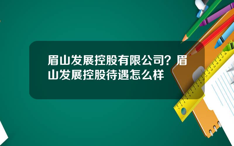 眉山发展控股有限公司？眉山发展控股待遇怎么样