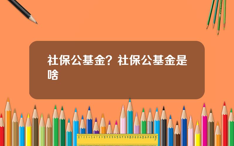 社保公基金？社保公基金是啥