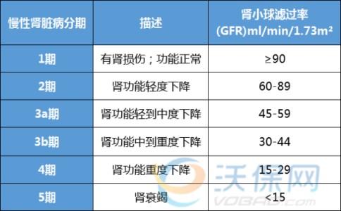 专防肾病！海保人寿肾康无忧特定疾病保险怎么样？条款测评